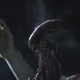 Illustration for article titled The Art Of iAlien: Covenant/iem/em